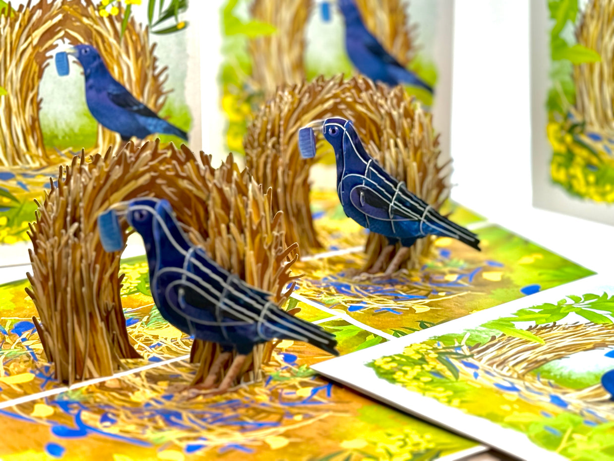 Satin Bowerbird - Australia's Unique Wildlife Origami Pop Cards 3D Pop Up Greeting Card Celebrate Happy Birthday Thank You Handmade Best Wishes Gift Thinking of You Blank Card for Any Occasion Happy Mother's Day Happy Father's Day Australiana Nature