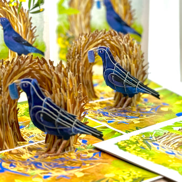 Satin Bowerbird - Australia's Unique Wildlife Origami Pop Cards 3D Pop Up Greeting Card Celebrate Happy Birthday Thank You Handmade Best Wishes Gift Thinking of You Blank Card for Any Occasion Happy Mother's Day Happy Father's Day Australiana Nature