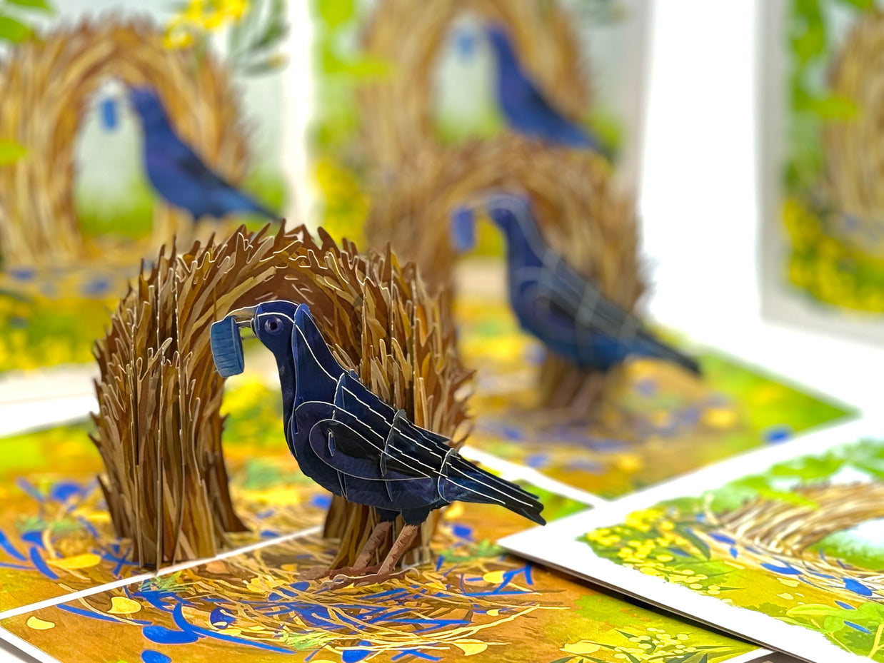Satin Bowerbird - Australia's Unique Wildlife Origami Pop Cards 3D Pop Up Greeting Card Celebrate Happy Birthday Thank You Handmade Best Wishes Gift Thinking of You Blank Card for Any Occasion Happy Mother's Day Happy Father's Day Australiana Nature