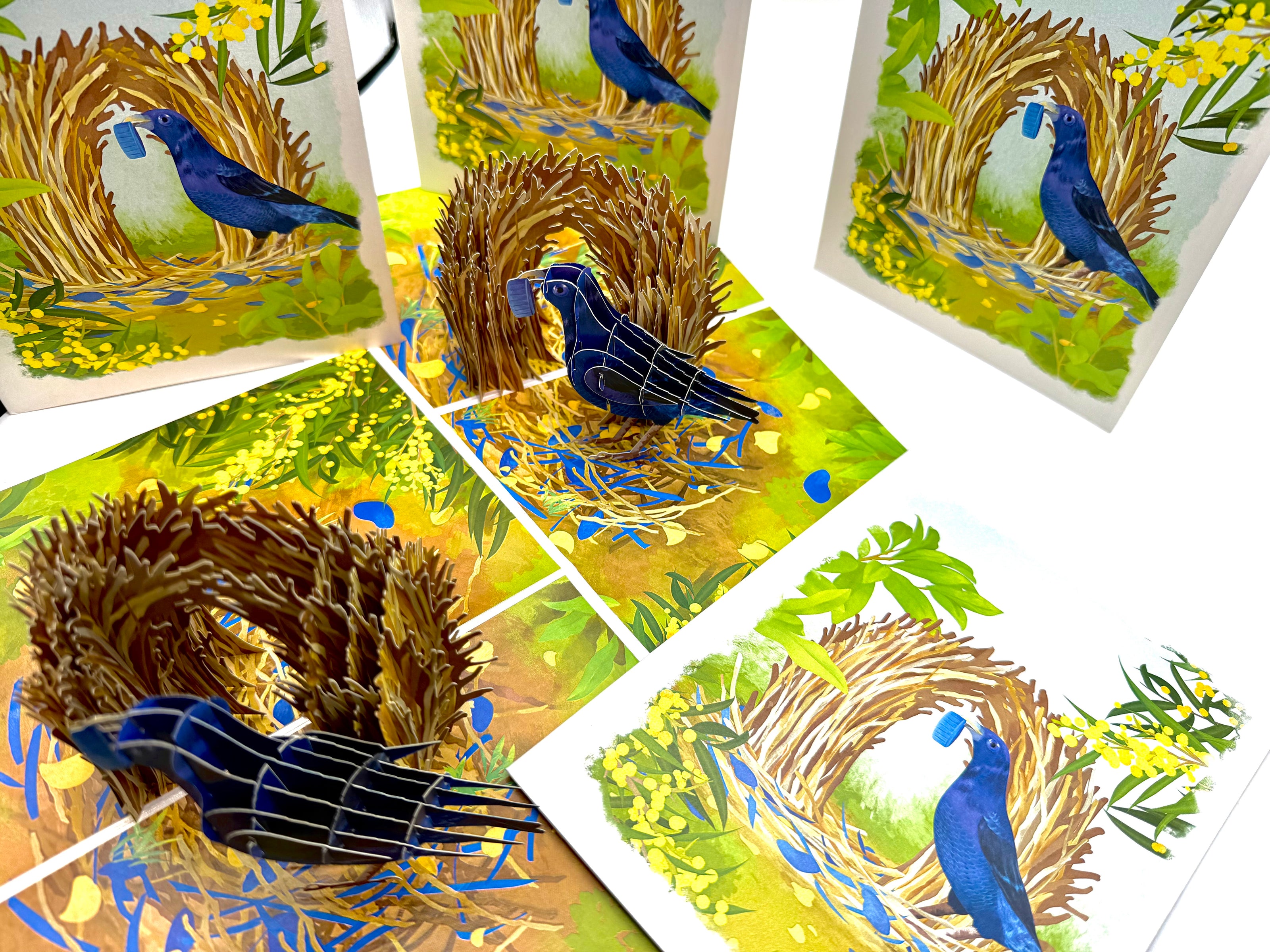 Satin Bowerbird - Australia's Unique Wildlife Origami Pop Cards 3D Pop Up Greeting Card Celebrate Happy Birthday Thank You Handmade Best Wishes Gift Thinking of You Blank Card for Any Occasion Happy Mother's Day Happy Father's Day Australiana Nature