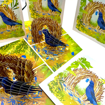 Satin Bowerbird - Australia's Unique Wildlife Origami Pop Cards 3D Pop Up Greeting Card Celebrate Happy Birthday Thank You Handmade Best Wishes Gift Thinking of You Blank Card for Any Occasion Happy Mother's Day Happy Father's Day Australiana Nature
