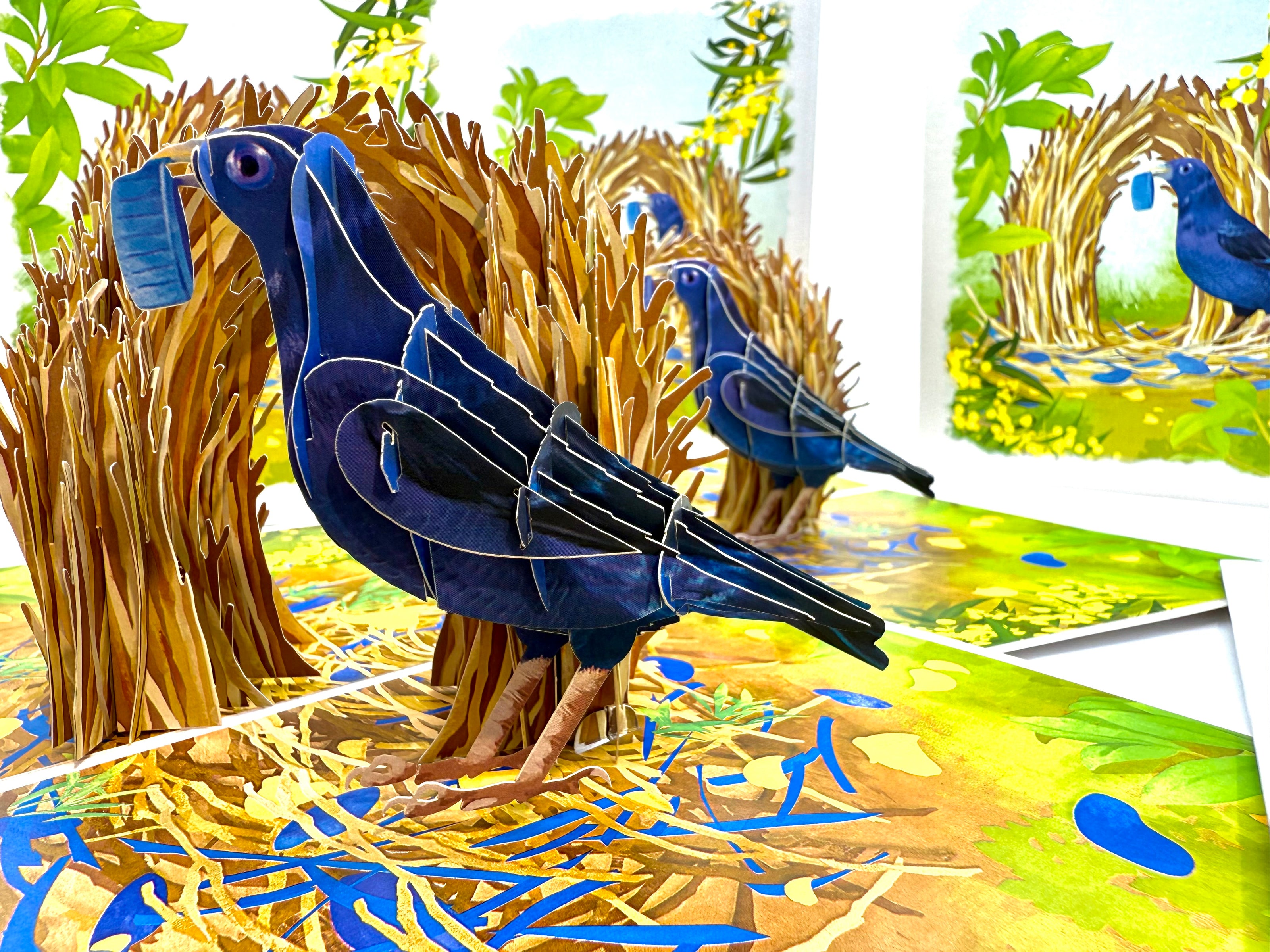 Satin Bowerbird - Australia's Unique Wildlife Origami Pop Cards 3D Pop Up Greeting Card Celebrate Happy Birthday Thank You Handmade Best Wishes Gift Thinking of You Blank Card for Any Occasion Happy Mother's Day Happy Father's Day Australiana Nature