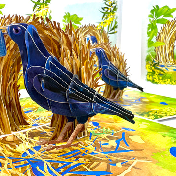 Satin Bowerbird - Australia's Unique Wildlife Origami Pop Cards 3D Pop Up Greeting Card Celebrate Happy Birthday Thank You Handmade Best Wishes Gift Thinking of You Blank Card for Any Occasion Happy Mother's Day Happy Father's Day Australiana Nature