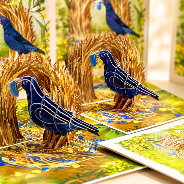 Satin Bowerbird - Australia's Unique Wildlife Origami Pop Cards 3D Pop Up Greeting Card Celebrate Happy Birthday Thank You Handmade Best Wishes Gift Thinking of You Blank Card for Any Occasion Happy Mother's Day Happy Father's Day Australiana Nature
