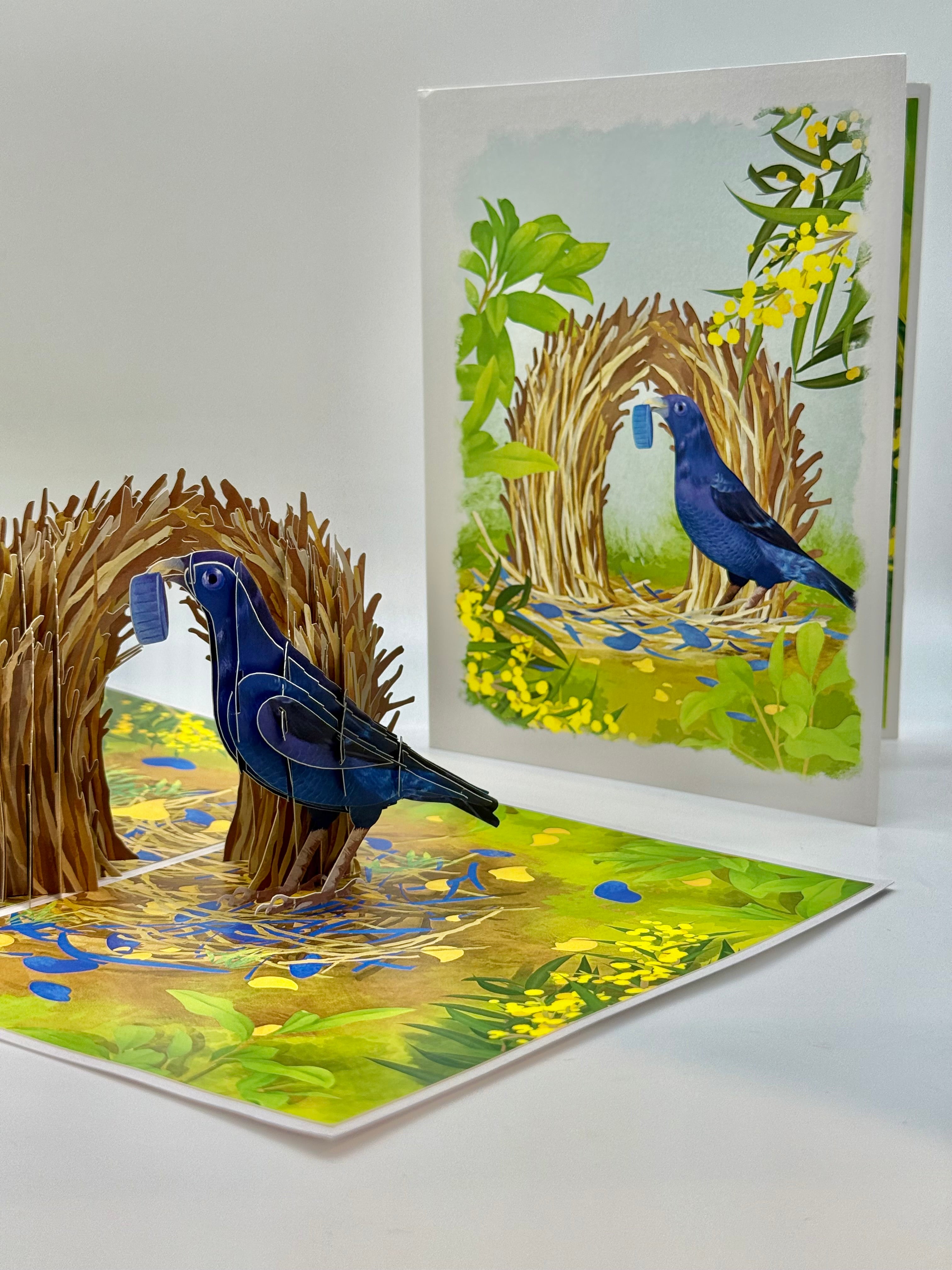 Satin Bowerbird - Australia's Unique Wildlife Origami Pop Cards 3D Pop Up Greeting Card Celebrate Happy Birthday Thank You Handmade Best Wishes Gift Thinking of You Blank Card for Any Occasion Happy Mother's Day Happy Father's Day Australiana Nature