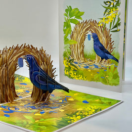 Satin Bowerbird - Australia's Unique Wildlife Origami Pop Cards 3D Pop Up Greeting Card Celebrate Happy Birthday Thank You Handmade Best Wishes Gift Thinking of You Blank Card for Any Occasion Happy Mother's Day Happy Father's Day Australiana Nature