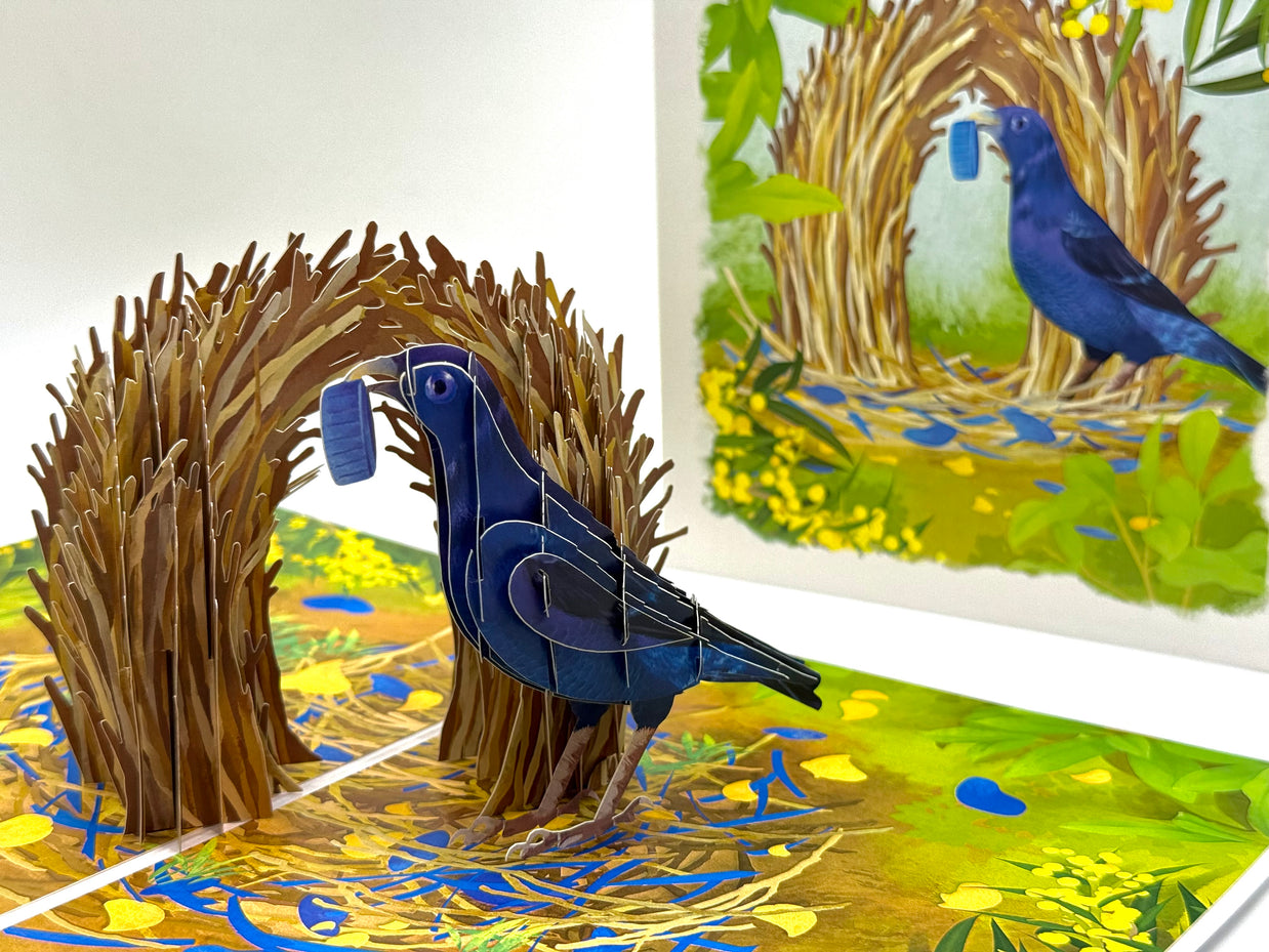 Satin Bowerbird - Australia's Unique Wildlife Origami Pop Cards 3D Pop Up Greeting Card Celebrate Happy Birthday Thank You Handmade Best Wishes Gift Thinking of You Blank Card for Any Occasion Happy Mother's Day Happy Father's Day Australiana Nature