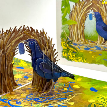 Satin Bowerbird - Australia's Unique Wildlife Origami Pop Cards 3D Pop Up Greeting Card Celebrate Happy Birthday Thank You Handmade Best Wishes Gift Thinking of You Blank Card for Any Occasion Happy Mother's Day Happy Father's Day Australiana Nature