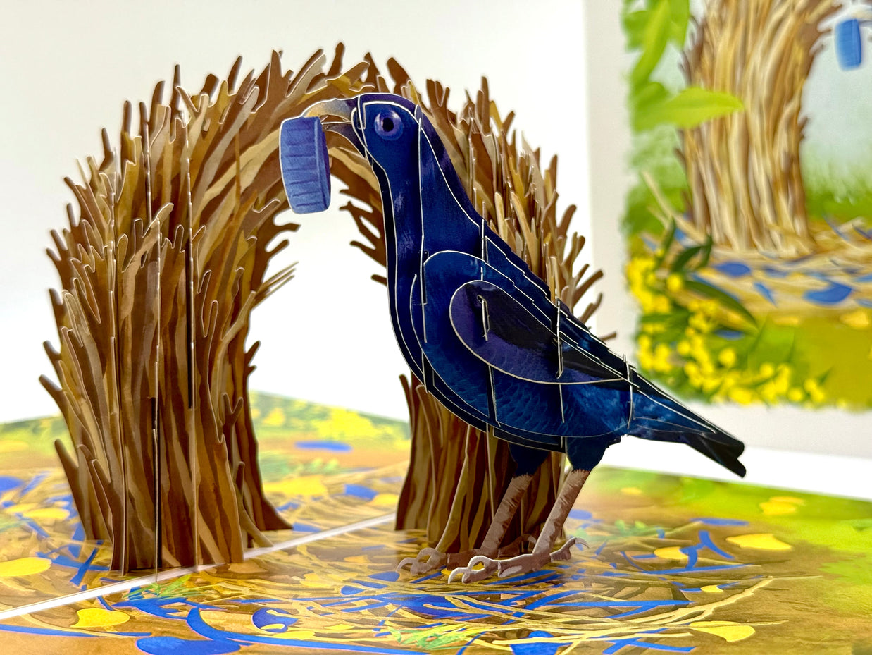 Satin Bowerbird - Australia's Unique Wildlife Origami Pop Cards 3D Pop Up Greeting Card Celebrate Happy Birthday Thank You Handmade Best Wishes Gift Thinking of You Blank Card for Any Occasion Happy Mother's Day Happy Father's Day Australiana Nature
