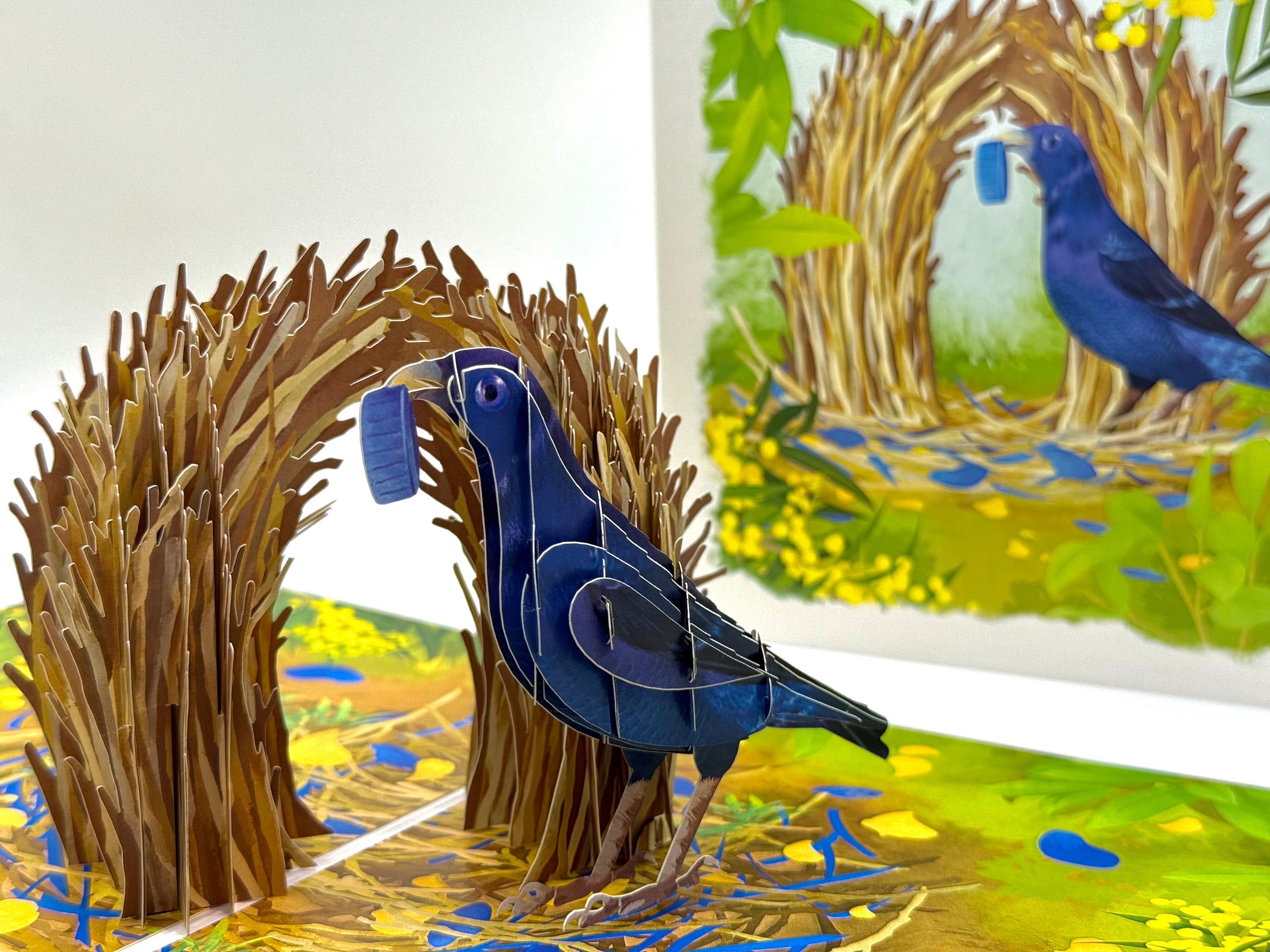 Satin Bowerbird - Australia's Unique Wildlife Origami Pop Cards 3D Pop Up Greeting Card Celebrate Happy Birthday Thank You Handmade Best Wishes Gift Thinking of You Blank Card for Any Occasion Happy Mother's Day Happy Father's Day Australiana Nature