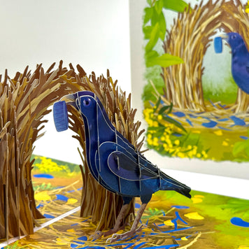 Satin Bowerbird - Australia's Unique Wildlife Origami Pop Cards 3D Pop Up Greeting Card Celebrate Happy Birthday Thank You Handmade Best Wishes Gift Thinking of You Blank Card for Any Occasion Happy Mother's Day Happy Father's Day Australiana Nature