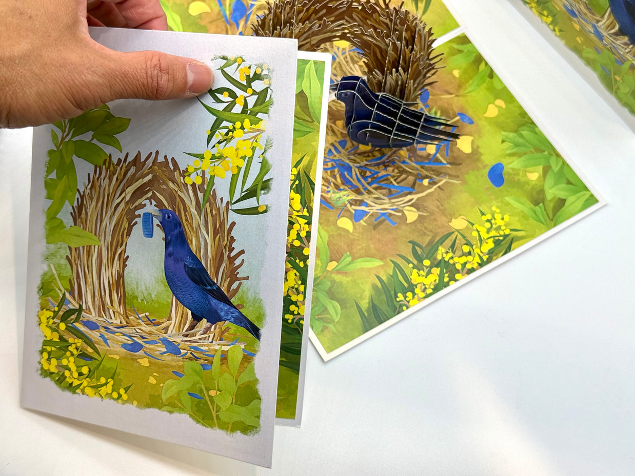 Satin Bowerbird - Australia's Unique Wildlife Origami Pop Cards 3D Pop Up Greeting Card Celebrate Happy Birthday Thank You Handmade Best Wishes Gift Thinking of You Blank Card for Any Occasion Happy Mother's Day Happy Father's Day Australiana Nature