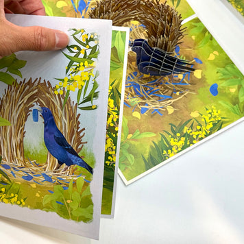 Satin Bowerbird - Australia's Unique Wildlife Origami Pop Cards 3D Pop Up Greeting Card Celebrate Happy Birthday Thank You Handmade Best Wishes Gift Thinking of You Blank Card for Any Occasion Happy Mother's Day Happy Father's Day Australiana Nature