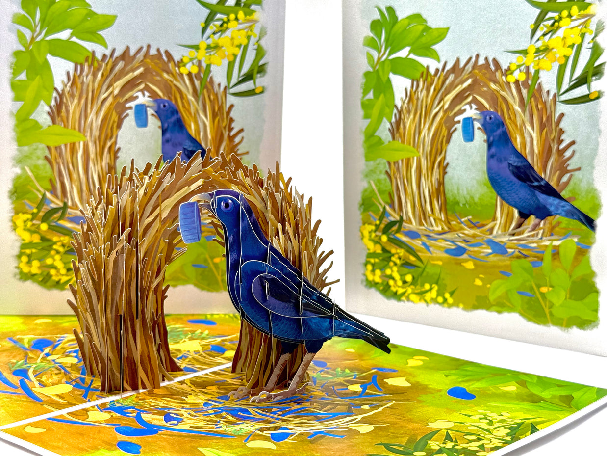 Satin Bowerbird - Australia's Unique Wildlife Origami Pop Cards 3D Pop Up Greeting Card Celebrate Happy Birthday Thank You Handmade Best Wishes Gift Thinking of You Blank Card for Any Occasion Happy Mother's Day Happy Father's Day Australiana Nature