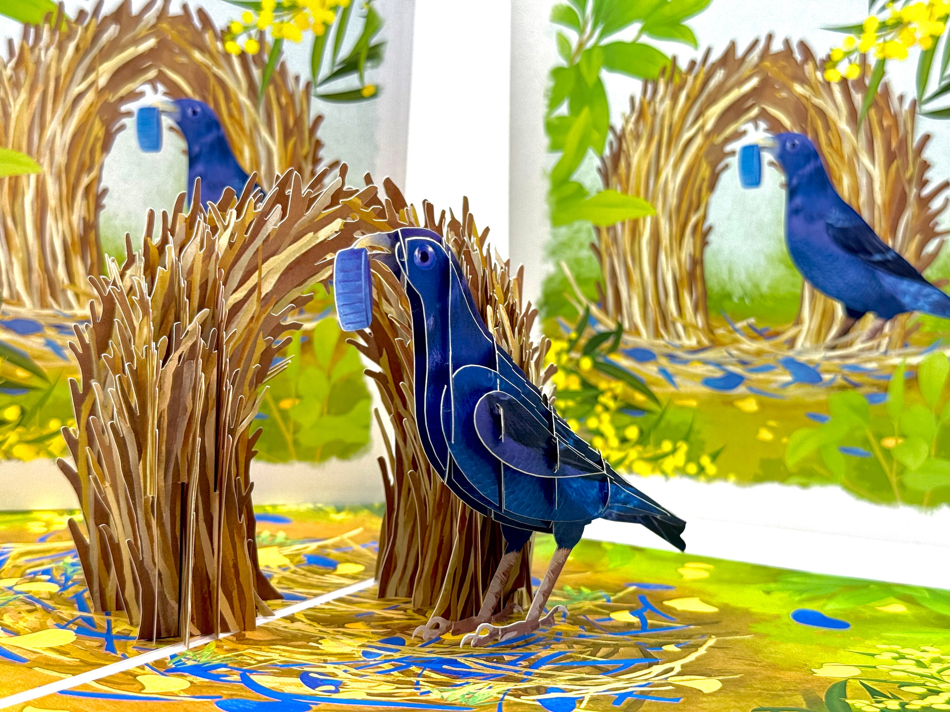 Satin Bowerbird - Australia's Unique Wildlife Origami Pop Cards 3D Pop Up Greeting Card Celebrate Happy Birthday Thank You Handmade Best Wishes Gift Thinking of You Blank Card for Any Occasion Happy Mother's Day Happy Father's Day Australiana Nature