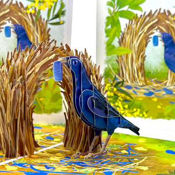 Satin Bowerbird - Australia's Unique Wildlife Origami Pop Cards 3D Pop Up Greeting Card Celebrate Happy Birthday Thank You Handmade Best Wishes Gift Thinking of You Blank Card for Any Occasion Happy Mother's Day Happy Father's Day Australiana Nature
