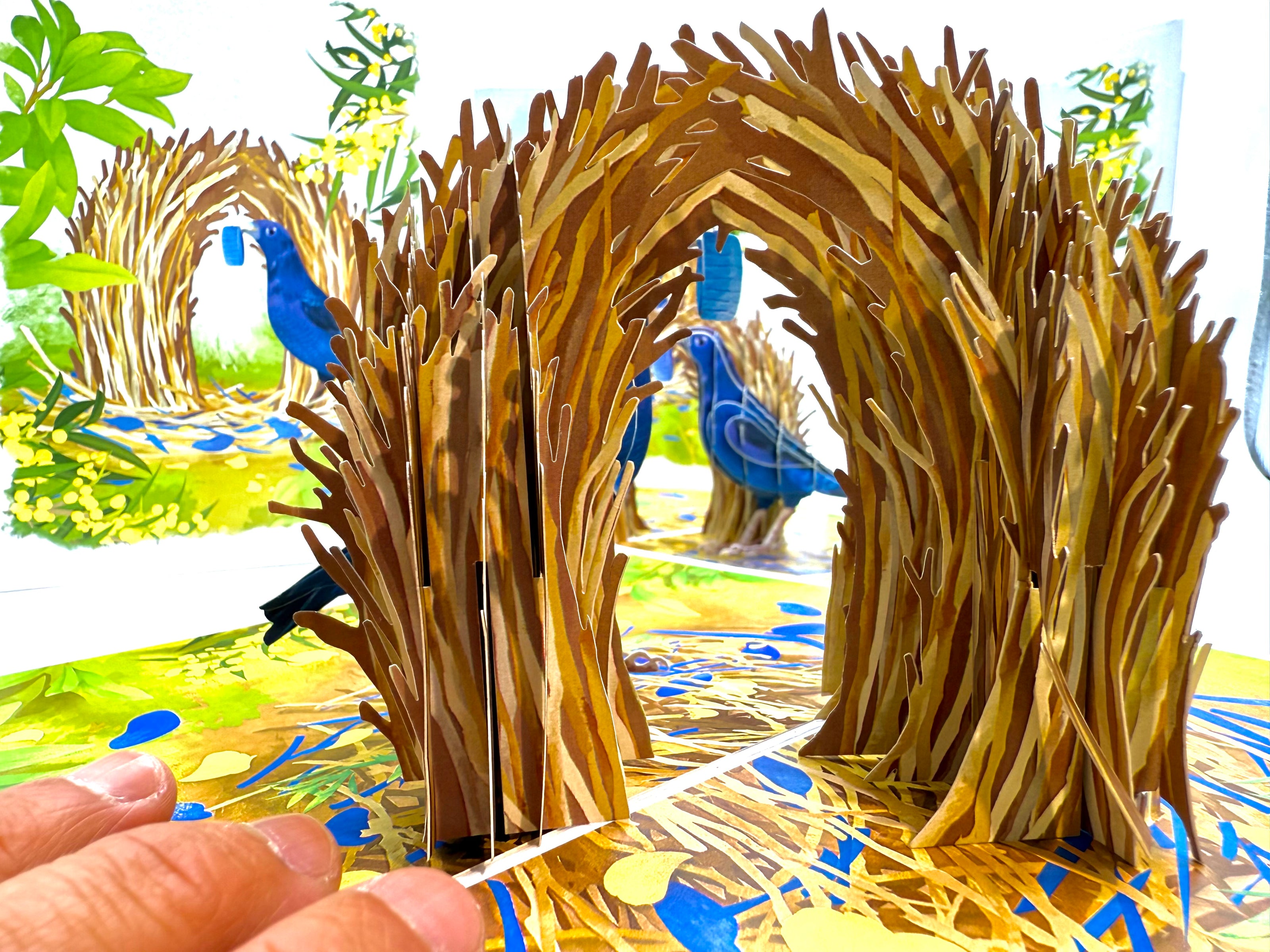 Satin Bowerbird - Australia's Unique Wildlife Origami Pop Cards 3D Pop Up Greeting Card Celebrate Happy Birthday Thank You Handmade Best Wishes Gift Thinking of You Blank Card for Any Occasion Happy Mother's Day Happy Father's Day Australiana Nature
