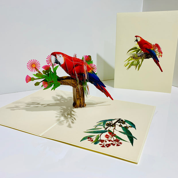 Scarlet Macaw Parrot Yellow Red & Blue Neotropical Bird Origami Pop Cards 3D Pop Up Greeting Card Happy Birthday Thank You Handmade Gift Thinking of You Blank Card for Any Occasion Happy Mother's Day Happy Father's Australiana Birds