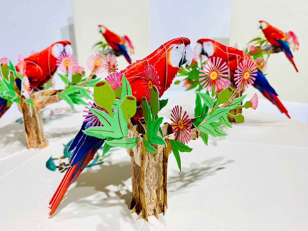 Scarlet Macaw Parrot Yellow Red & Blue Neotropical Bird Origami Pop Cards 3D Pop Up Greeting Card Happy Birthday Thank You Handmade Gift Thinking of You Blank Card for Any Occasion Happy Mother's Day Happy Father's Australiana Birds (Copy)