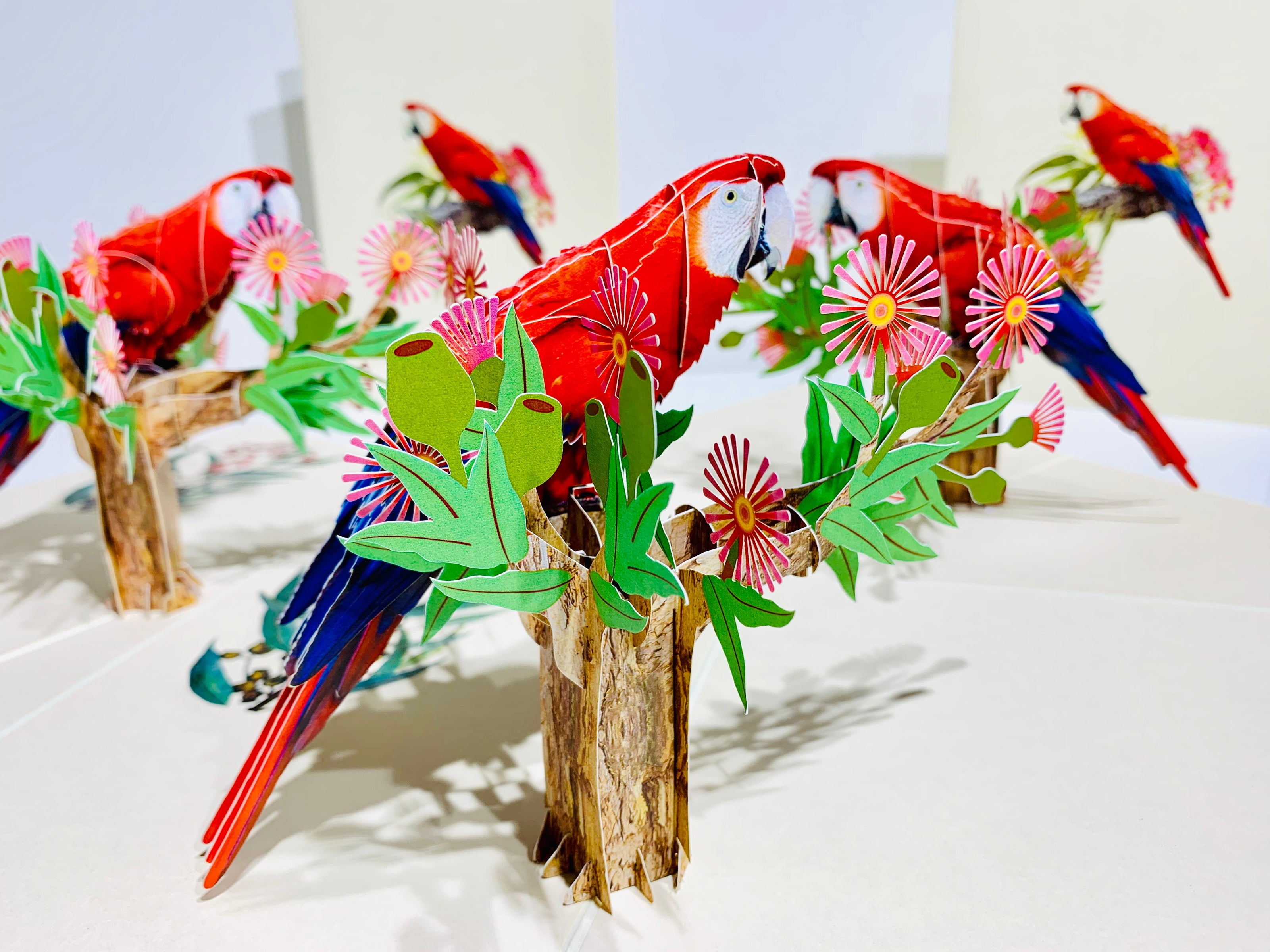 Scarlet Macaw Parrot Yellow Red & Blue Neotropical Bird Origami Pop Cards 3D Pop Up Greeting Card Happy Birthday Thank You Handmade Gift Thinking of You Blank Card for Any Occasion Happy Mother's Day Happy Father's Australiana Birds (Copy)