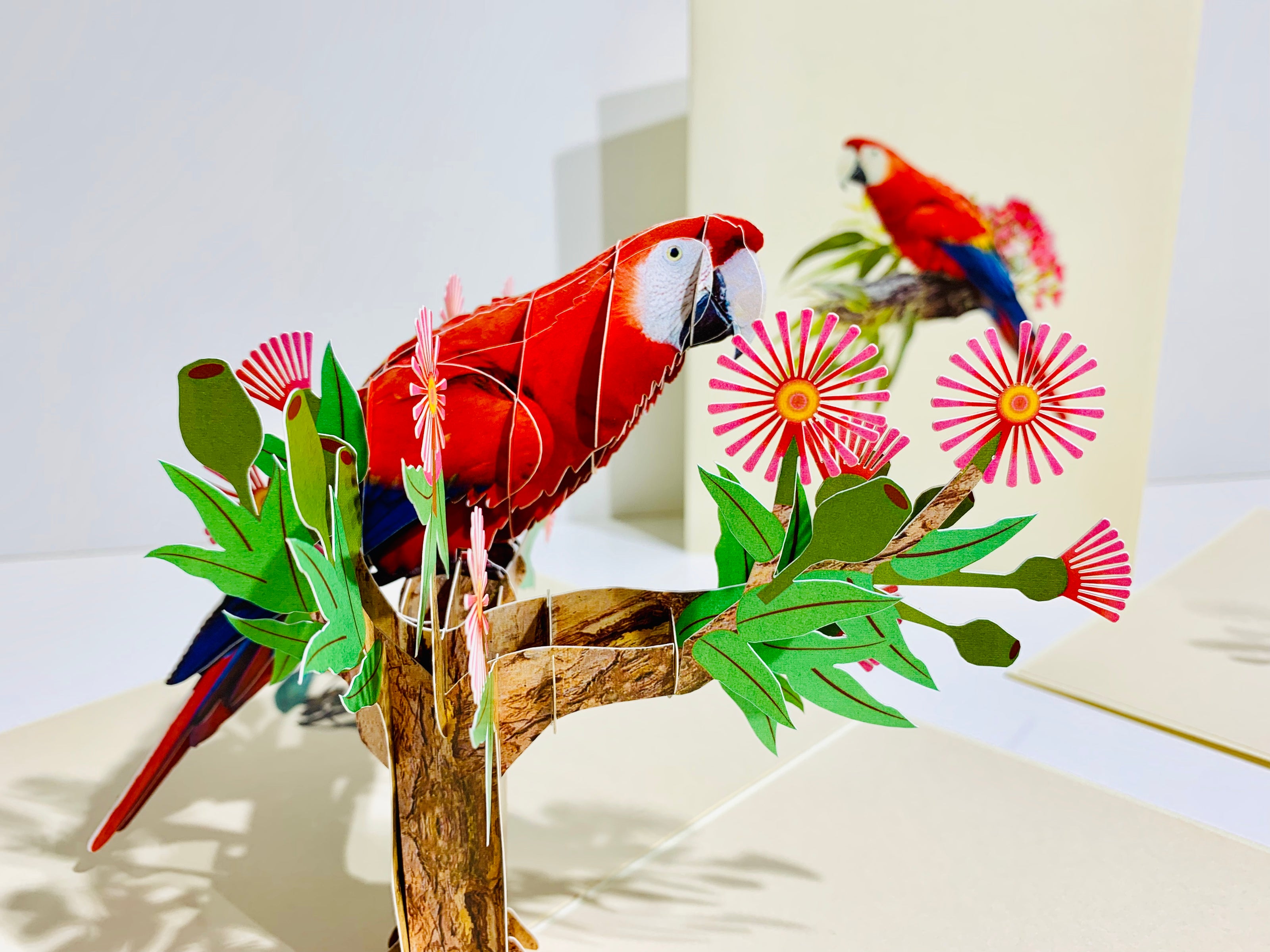 Scarlet Macaw Parrot Yellow Red & Blue Neotropical Bird Origami Pop Cards 3D Pop Up Greeting Card Happy Birthday Thank You Handmade Gift Thinking of You Blank Card for Any Occasion Happy Mother's Day Happy Father's Australiana Birds (Copy)