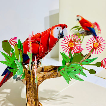Scarlet Macaw Parrot Yellow Red & Blue Neotropical Bird Origami Pop Cards 3D Pop Up Greeting Card Happy Birthday Thank You Handmade Gift Thinking of You Blank Card for Any Occasion Happy Mother's Day Happy Father's Australiana Birds (Copy)