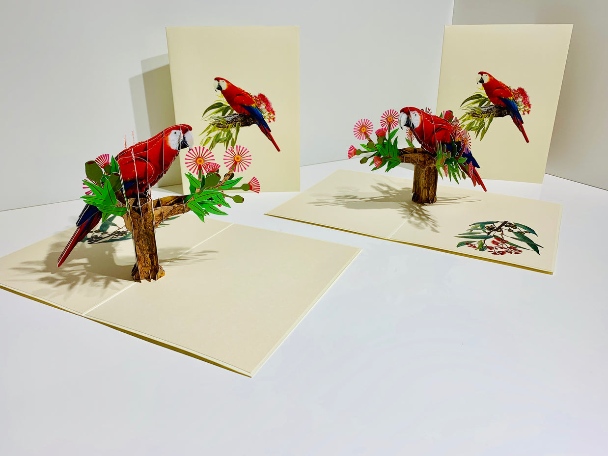 Scarlet Macaw Parrot Yellow Red & Blue Neotropical Bird Origami Pop Cards 3D Pop Up Greeting Card Happy Birthday Thank You Handmade Gift Thinking of You Blank Card for Any Occasion Happy Mother's Day Happy Father's Australiana Birds (Copy)