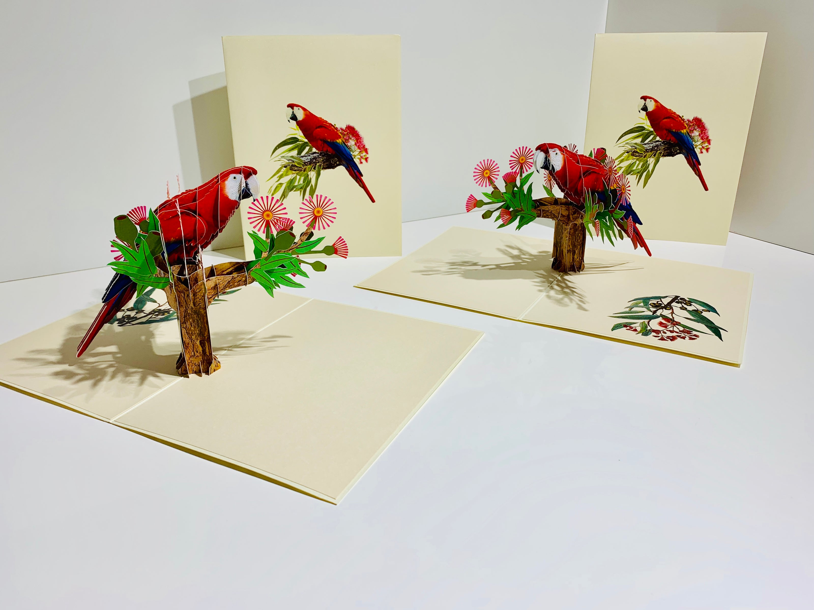 Scarlet Macaw Parrot Yellow Red & Blue Neotropical Bird Origami Pop Cards 3D Pop Up Greeting Card Happy Birthday Thank You Handmade Gift Thinking of You Blank Card for Any Occasion Happy Mother's Day Happy Father's Australiana Birds (Copy)