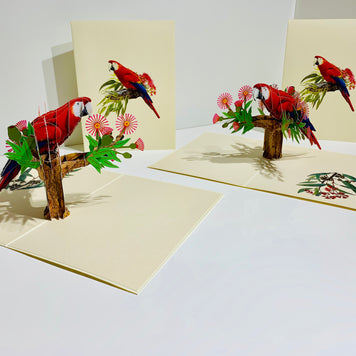 Scarlet Macaw Parrot Yellow Red & Blue Neotropical Bird Origami Pop Cards 3D Pop Up Greeting Card Happy Birthday Thank You Handmade Gift Thinking of You Blank Card for Any Occasion Happy Mother's Day Happy Father's Australiana Birds (Copy)