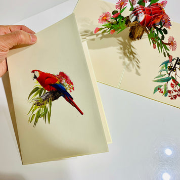 Scarlet Macaw Parrot Yellow Red & Blue Neotropical Bird Origami Pop Cards 3D Pop Up Greeting Card Happy Birthday Thank You Handmade Gift Thinking of You Blank Card for Any Occasion Happy Mother's Day Happy Father's Australiana Birds (Copy)