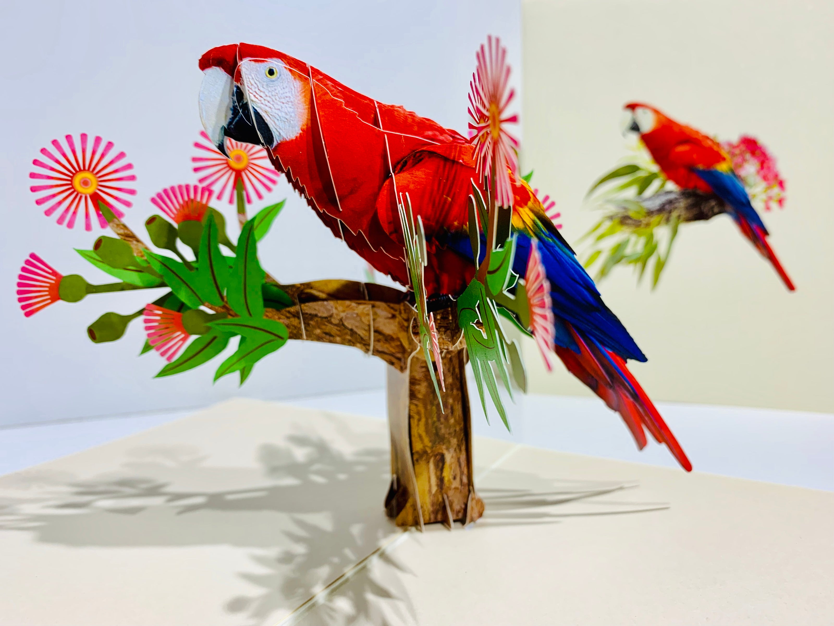 Scarlet Macaw Parrot Yellow Red & Blue Neotropical Bird Origami Pop Cards 3D Pop Up Greeting Card Happy Birthday Thank You Handmade Gift Thinking of You Blank Card for Any Occasion Happy Mother's Day Happy Father's Australiana Birds (Copy)
