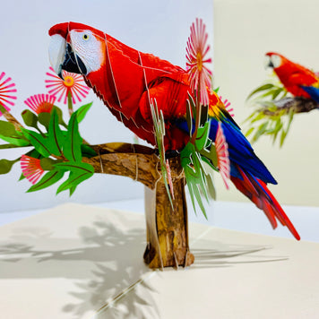 Scarlet Macaw Parrot Yellow Red & Blue Neotropical Bird Origami Pop Cards 3D Pop Up Greeting Card Happy Birthday Thank You Handmade Gift Thinking of You Blank Card for Any Occasion Happy Mother's Day Happy Father's Australiana Birds (Copy)