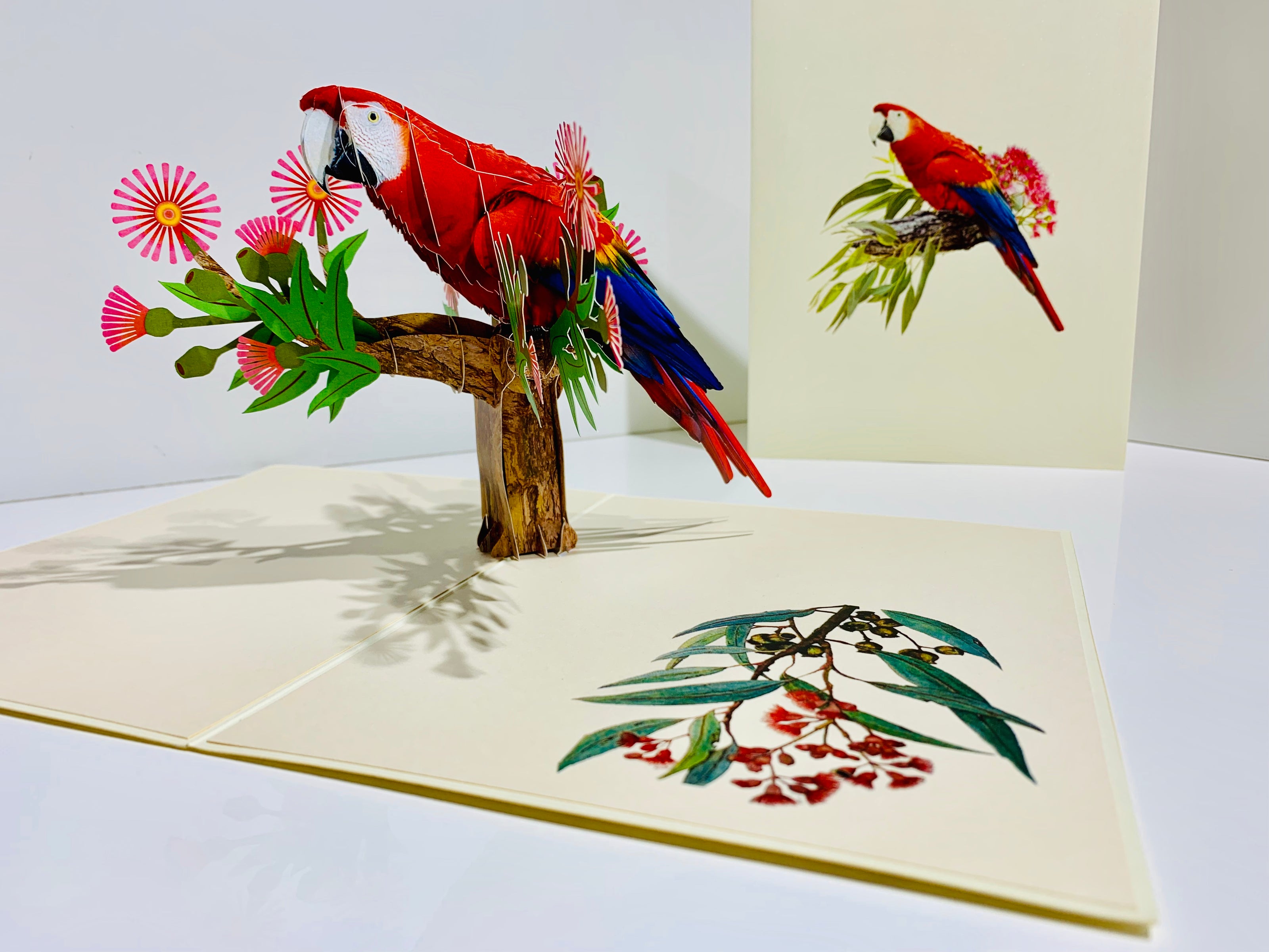 Scarlet Macaw Parrot Yellow Red & Blue Neotropical Bird Origami Pop Cards 3D Pop Up Greeting Card Happy Birthday Thank You Handmade Gift Thinking of You Blank Card for Any Occasion Happy Mother's Day Happy Father's Australiana Birds (Copy)