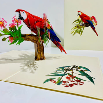 Scarlet Macaw Parrot Yellow Red & Blue Neotropical Bird Origami Pop Cards 3D Pop Up Greeting Card Happy Birthday Thank You Handmade Gift Thinking of You Blank Card for Any Occasion Happy Mother's Day Happy Father's Australiana Birds (Copy)