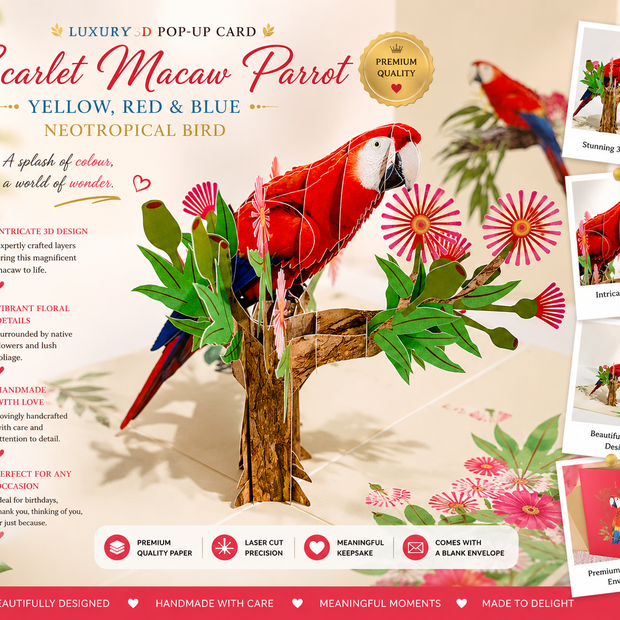 Scarlet Macaw Parrot Yellow Red & Blue Neotropical Bird Origami Pop Cards 3D Pop Up Greeting Card Happy Birthday Thank You Handmade Gift Thinking of You Blank Card for Any Occasion Happy Mother's Day Happy Father's Australiana Birds
