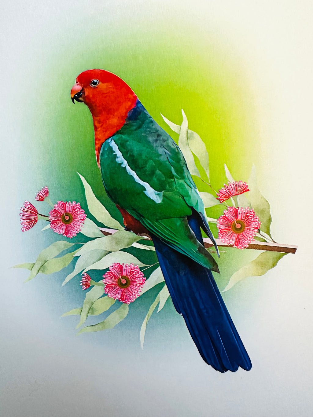 Single Australian King Parrot - Aussie Bird Origami Pop Cards 3D Pop Up Greeting Card Celebrate Happy Birthday Thank You Handmade Best Wishes Gift Thinking of You Blank Card for Any Occasion Happy Mother's Day Happy Father's Day Australiana Birds