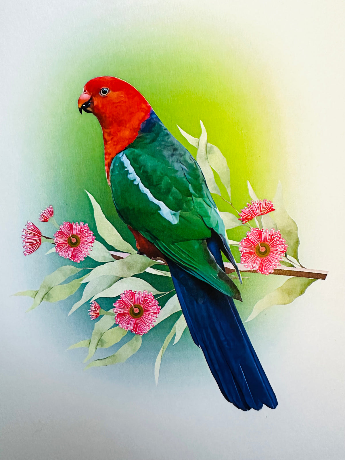 Single Australian King Parrot - Aussie Bird Origami Pop Cards 3D Pop Up Greeting Card Celebrate Happy Birthday Thank You Handmade Best Wishes Gift Thinking of You Blank Card for Any Occasion Happy Mother's Day Happy Father's Day Australiana Birds