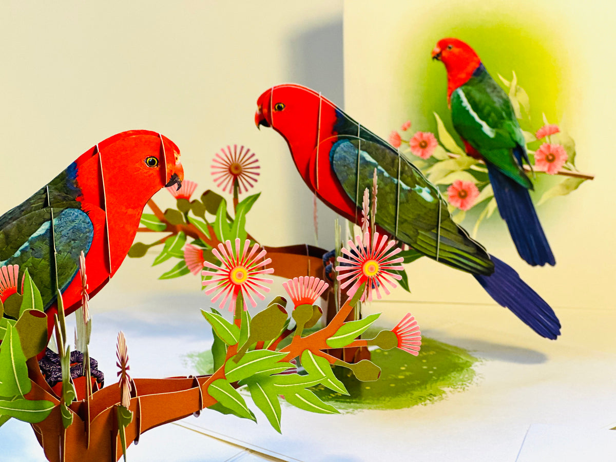 Single Australian King Parrot - Aussie Bird Origami Pop Cards 3D Pop Up Greeting Card Celebrate Happy Birthday Thank You Handmade Best Wishes Gift Thinking of You Blank Card for Any Occasion Happy Mother's Day Happy Father's Day Australiana Birds