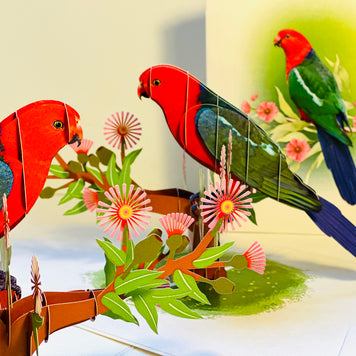 Single Australian King Parrot - Aussie Bird Origami Pop Cards 3D Pop Up Greeting Card Celebrate Happy Birthday Thank You Handmade Best Wishes Gift Thinking of You Blank Card for Any Occasion Happy Mother's Day Happy Father's Day Australiana Birds