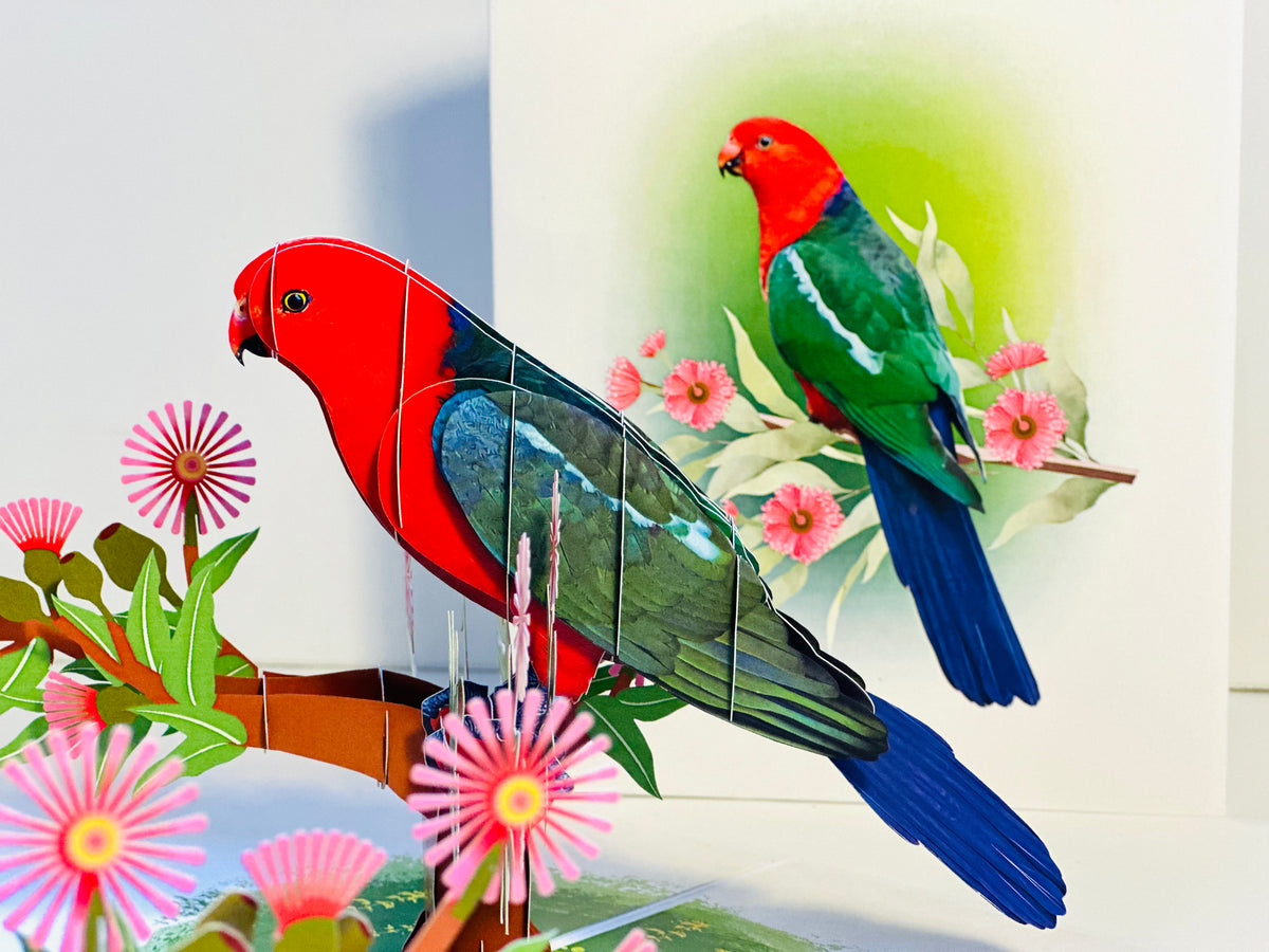 Single Australian King Parrot - Aussie Bird Origami Pop Cards 3D Pop Up Greeting Card Celebrate Happy Birthday Thank You Handmade Best Wishes Gift Thinking of You Blank Card for Any Occasion Happy Mother's Day Happy Father's Day Australiana Birds