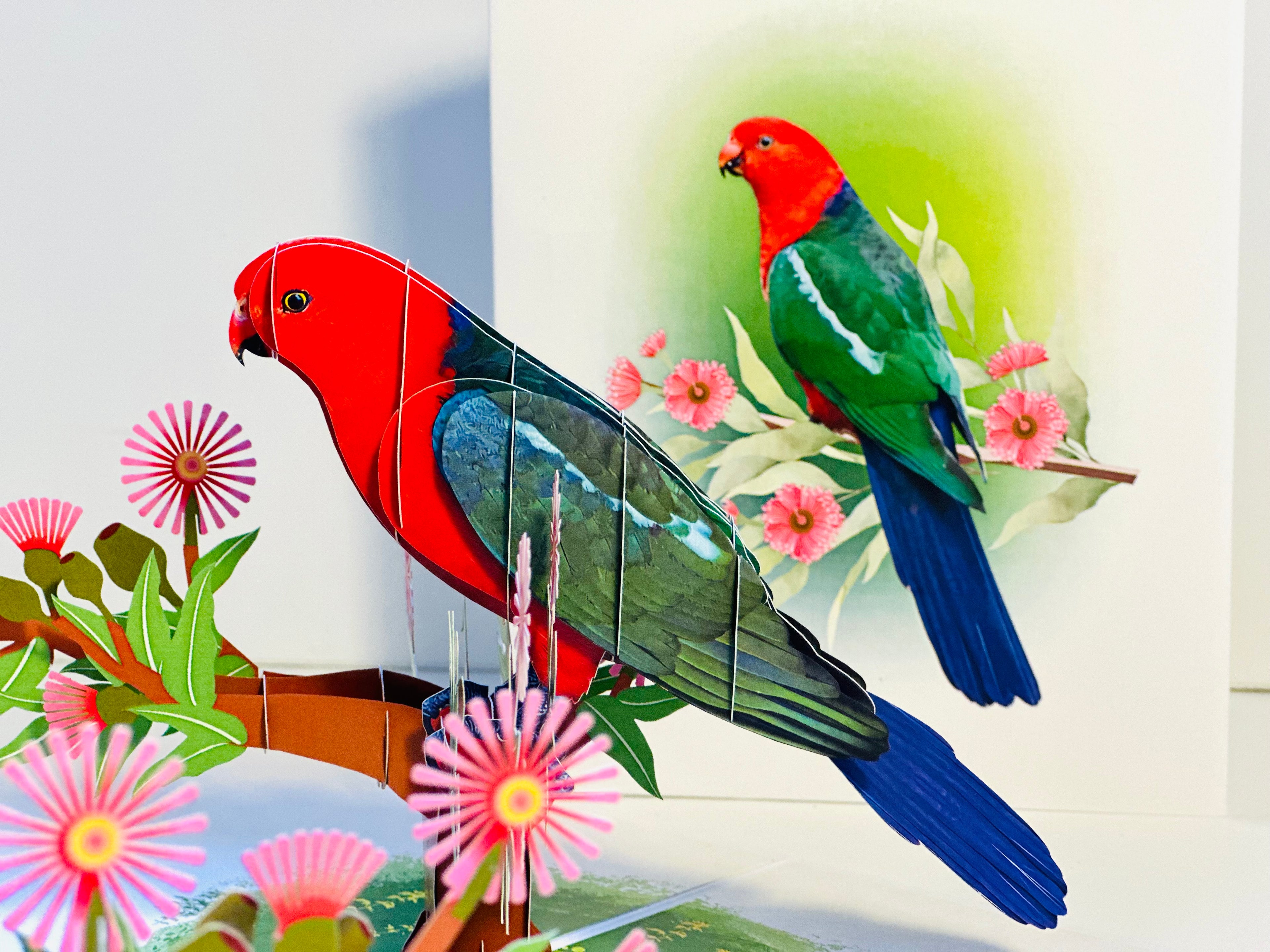 Single Australian King Parrot - Aussie Bird Origami Pop Cards 3D Pop Up Greeting Card Celebrate Happy Birthday Thank You Handmade Best Wishes Gift Thinking of You Blank Card for Any Occasion Happy Mother's Day Happy Father's Day Australiana Birds