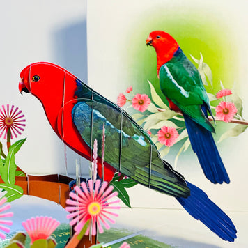 Single Australian King Parrot - Aussie Bird Origami Pop Cards 3D Pop Up Greeting Card Celebrate Happy Birthday Thank You Handmade Best Wishes Gift Thinking of You Blank Card for Any Occasion Happy Mother's Day Happy Father's Day Australiana Birds