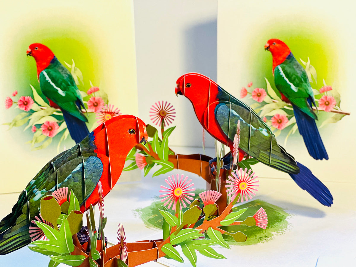 Single Australian King Parrot - Aussie Bird Origami Pop Cards 3D Pop Up Greeting Card Celebrate Happy Birthday Thank You Handmade Best Wishes Gift Thinking of You Blank Card for Any Occasion Happy Mother's Day Happy Father's Day Australiana Birds