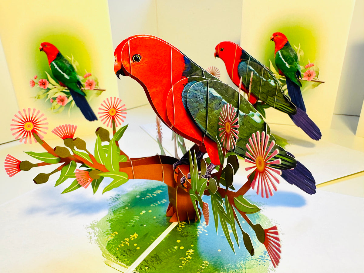 Single Australian King Parrot - Aussie Bird Origami Pop Cards 3D Pop Up Greeting Card Celebrate Happy Birthday Thank You Handmade Best Wishes Gift Thinking of You Blank Card for Any Occasion Happy Mother's Day Happy Father's Day Australiana Birds