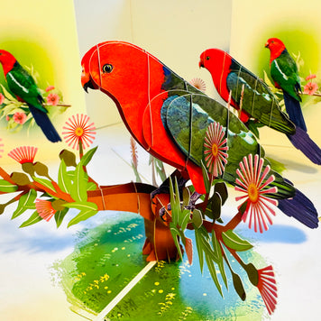 Single Australian King Parrot - Aussie Bird Origami Pop Cards 3D Pop Up Greeting Card Celebrate Happy Birthday Thank You Handmade Best Wishes Gift Thinking of You Blank Card for Any Occasion Happy Mother's Day Happy Father's Day Australiana Birds