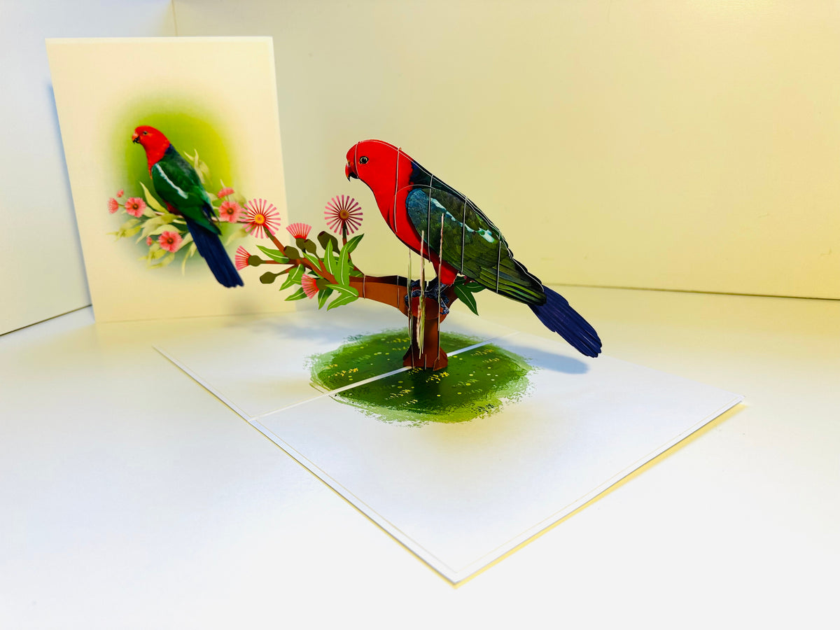 Single Australian King Parrot - Aussie Bird Origami Pop Cards 3D Pop Up Greeting Card Celebrate Happy Birthday Thank You Handmade Best Wishes Gift Thinking of You Blank Card for Any Occasion Happy Mother's Day Happy Father's Day Australiana Birds