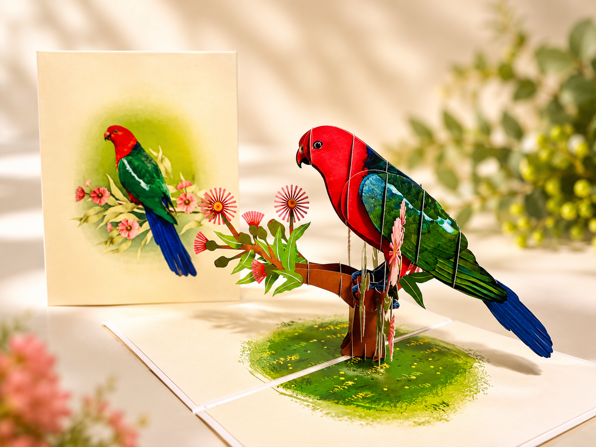 Single Australian King Parrot - Aussie Bird Origami Pop Cards 3D Pop Up Greeting Card Celebrate Happy Birthday Thank You Handmade Best Wishes Gift Thinking of You Blank Card for Any Occasion Happy Mother's Day Happy Father's Day Australiana Birds