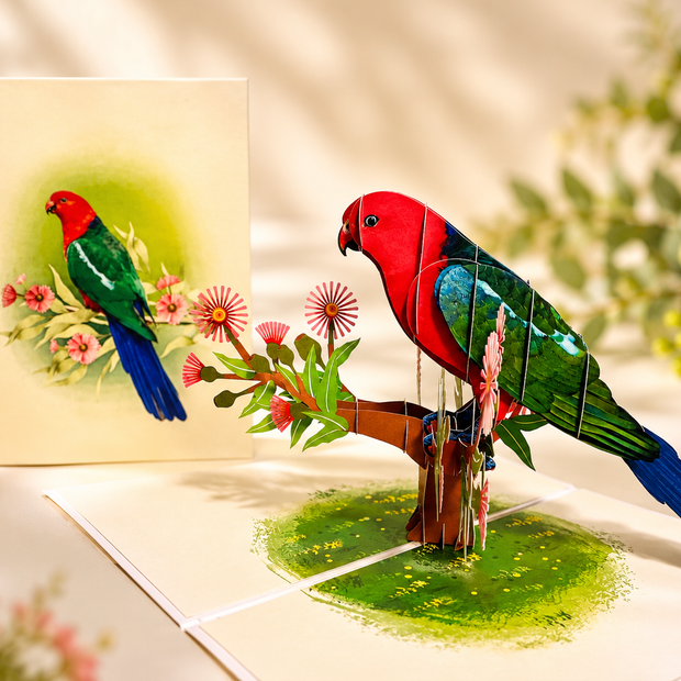 Single Australian King Parrot - Aussie Bird Origami Pop Cards 3D Pop Up Greeting Card Celebrate Happy Birthday Thank You Handmade Best Wishes Gift Thinking of You Blank Card for Any Occasion Happy Mother's Day Happy Father's Day Australiana Birds