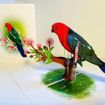 Single Australian King Parrot - Aussie Bird Origami Pop Cards 3D Pop Up Greeting Card Celebrate Happy Birthday Thank You Handmade Best Wishes Gift Thinking of You Blank Card for Any Occasion Happy Mother's Day Happy Father's Day Australiana Birds