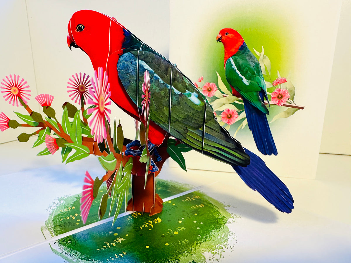 Single Australian King Parrot - Aussie Bird Origami Pop Cards 3D Pop Up Greeting Card Celebrate Happy Birthday Thank You Handmade Best Wishes Gift Thinking of You Blank Card for Any Occasion Happy Mother's Day Happy Father's Day Australiana Birds